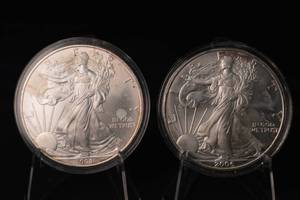lot 17 image: 2008 And 2006 American Silver Eagle .999 1oz Silver Rounds