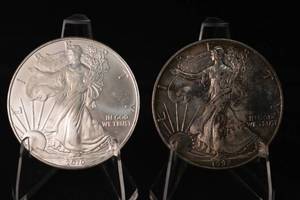 lot 21 image: American Silver Eagle 1 oz Silver Coins - 1992 & 2010 US Mint