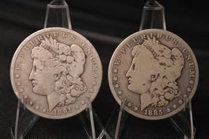 lot 29 image: Morgan Silver Dollars - 1891 & 1895