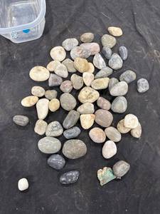 lot 1565 image: Assorted Polished River Stones