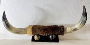 lot 5 image: Large Western Cattle Horn Wall Display Rack