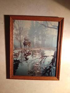 lot 93 image: Framed deer print