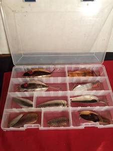 lot 137 image: Plano box of musky and other spoons