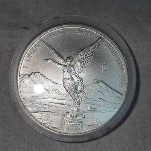 lot 77 image: 2023 1 onza 1oz Silver Round