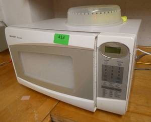 lot 413 image: ECSE - microwave
