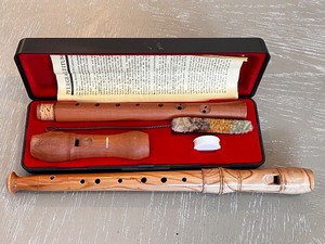 lot 11 image: Hohner Musica 9532 C-Soprano Recorder with Case and Accessories