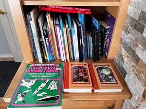 lot 19 image: Collection of Childrens Books and Graphic Novels Including A Series of Unfortunate Events