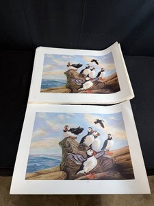 lot 121 image: Stack of Puffin Art Prints by Patricia Bourque