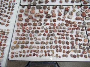 First to Market AGATE COLLECTION