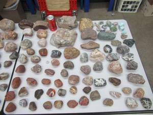 First to Market AGATE COLLECTION