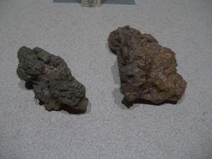 lot 294 image: This item is a coprolite, which is fossilized animal dung, often from ancient turtles or crocodiles.
