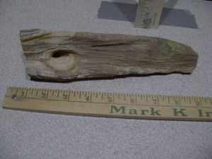 lot 295 image: a piece of petrified wood,