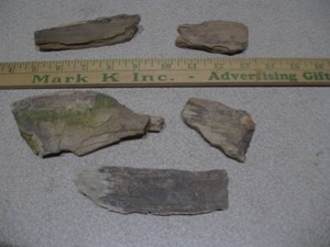 lot 298 image: The image displays several pieces of fossilized wood or geological specimens