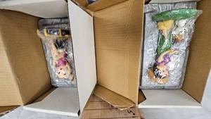 lot 122 image: Pair of Betty Boop Figurines  Hawaiin Holiday and All Dolled Up