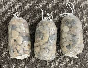 lot 282 image: River Rocks Large Bag - 3-Pack, 2.37 lb Each - 100% Natural River Rocks - Item No. 556978163