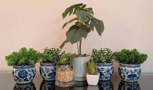 lot 85 image: K - Artificial Potted Foliage Assortment - 6 Faux Plants in Ceramic Pots