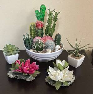 lot 227R image: LR - Succulents and Cactus Bowl Arrangement with Pink & White Rosettes