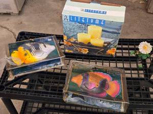lot 373 image: LiteTyme Candle Garden, Rainbow Reef Fish Toys, and Decorative Flower Figurine