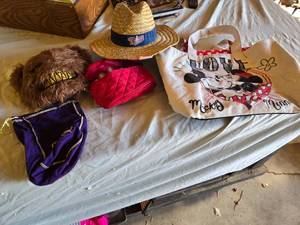 lot 381 image: Twins Straw Hat, Mickey and Minnie Tote, Fur Mask