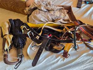 lot 383 image: Assorted Belts and Umbrellas Lot