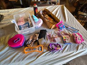 lot 420 image: Assorted Personal Care and Accessories Lot including Gillette Razor, Bath Buffs, and Sewing Kits