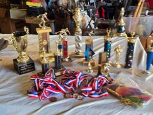 lot 422 image: Collection of Trophies and Medals Including Bowling and Chess