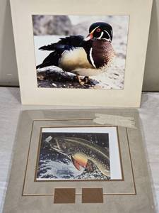 lot 478 image: Wood Duck Photo and Fish Stamp Print