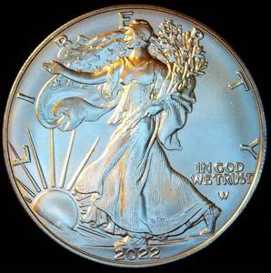 lot 19 image: BU 2022 US Silver Eagle Dollar