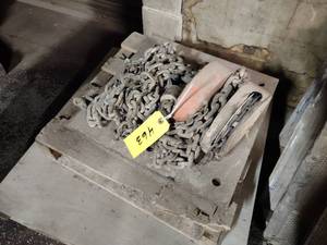 lot 463 image: CM 2 Ton Chain Hoist...