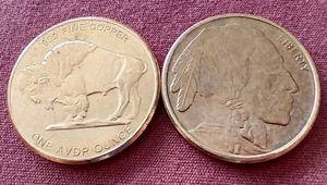 lot 134 image: (2) Buffalo 1 oz Copper Rounds