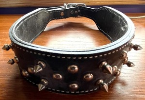 lot 18 image: Leather Studded Dog Collar with Spikes - Black, 2in Wide, Adjustable