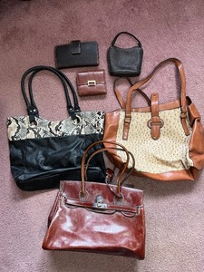 lot 42 image: Nine West Tote Bag - Black Snake-Print, Tan Ostrich, Burgundy Leather