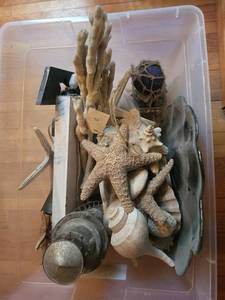 lot 108 image: Nautical Coastal Decor Lot - Starfish, Shells, Coral, Driftwood, Lighthouse & Lantern