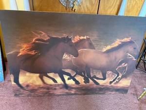 lot 123 image: Three Galloping Horses Canvas Art Print - Sunset Light, Wildlife Wall Decor