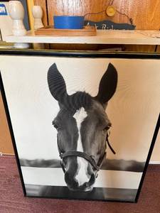 lot 128 image: Horse Head Wall Mirror - Black Frame, 24 in Wide
