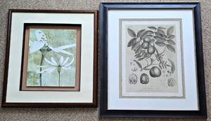 lot 222K image: LR - The Walnut Tree Botanical Prints Pair - Framed Wall Art