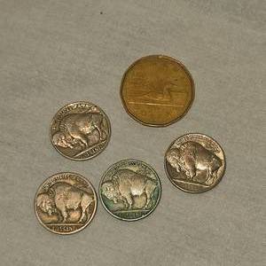 lot 1 image: 1988 Canadian Loonie , Buffalo Nickels