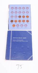 lot 75 image: Indian Head Penny Lot of 28