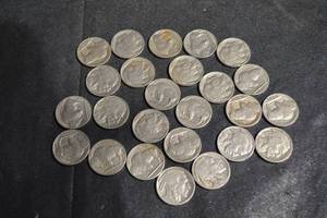 lot 32 image: Buffalo Nickel Collection