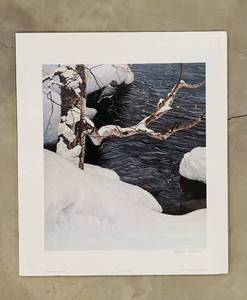 lot 101C image: LL - Robert Bateman - Kingfisher in Winter Print (Edition 285950) Unframed