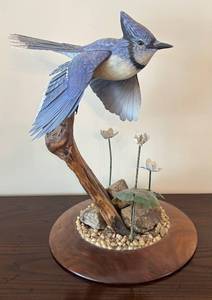 lot 24R image: DR -Hand Carved and Painted Wooden Blue Jay Figure on Driftwood