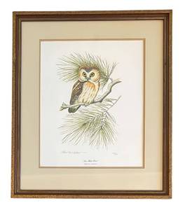 lot 132R image: LR - Saw-Whet Owl Limited Edition Print by Al Gilbert
