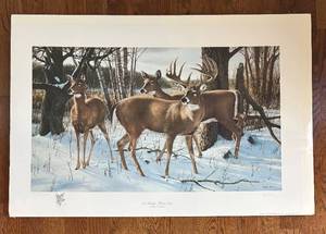 lot 187R image: K - Ron Van Gilder Ever Watchful-Whitetail Deer Artist Proof Unframed Print