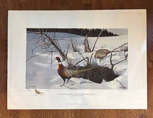 lot 253R image: K - Winter Shadows Ring-Necked Pheasants Limited Edition Unframed Print by Ron Van Gilder