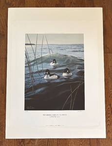 lot 275R image: K - Wave Riders - American Goldeneyes Limited Edition Unframed Print by Ron Van Gilder