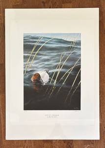 lot 287R image: K - Solitude Canvasback Limited Edition Unframed Print by Ron Van Gilder
