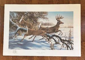 lot 305R image: FC - Breaking Cover - White-tailed Deer Artist Proof Unframed Print by Ron Van Gilder