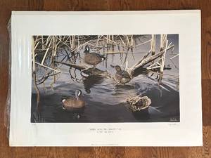 lot 320R image: FC - Ron Van Gilder Spring Song - Blue-winged Teal Limited Edition Unframed Print