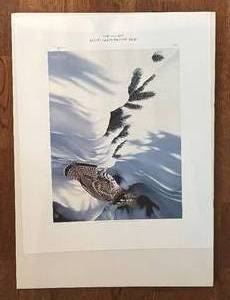 lot 402R image: FC - Ron Van Gilder Silent Shadows - Ruffed Grouse Limited Edition Unframed Print