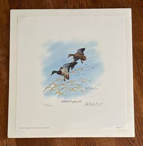 lot 410R image: K - Les Koubas Mallards Dropping In Limited Edition Unframed Print